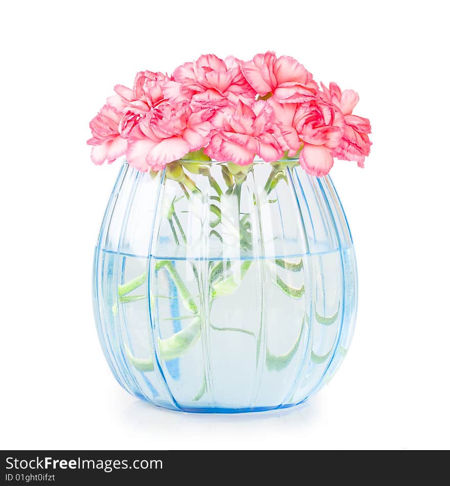 Carnations in transparent blue vase isolated on white background