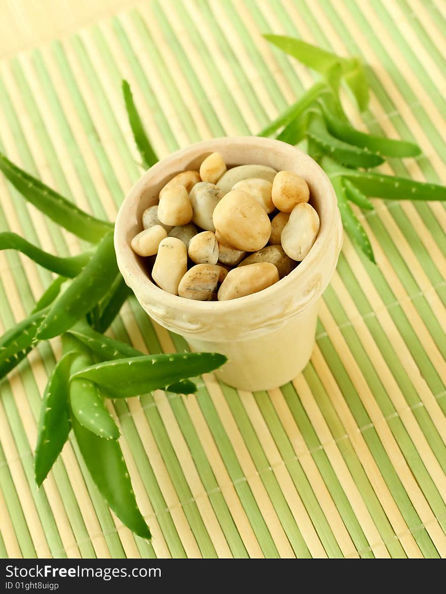 Pot with stones and aloe vera, closeup