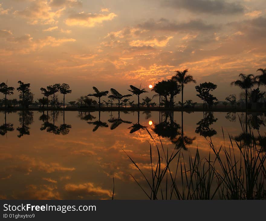 Beautiful sunrise reflected on lake,with backlit coconut trees