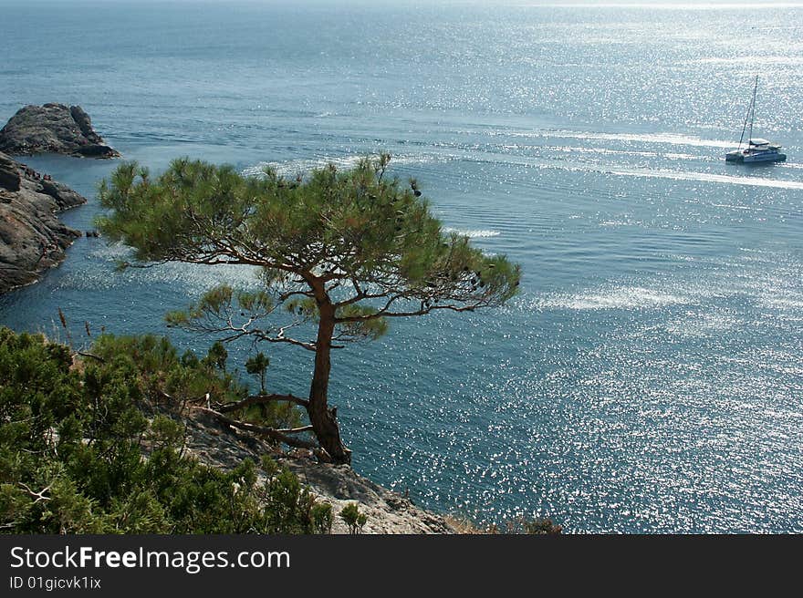 Blue gulf with pine on the coast and jacht in the sea.