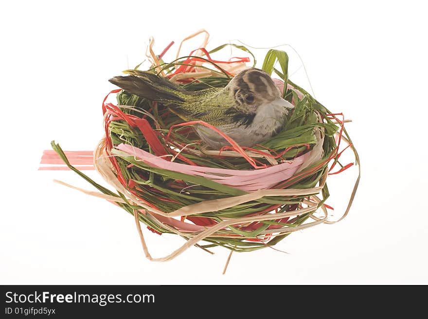 Artificial bird in nest