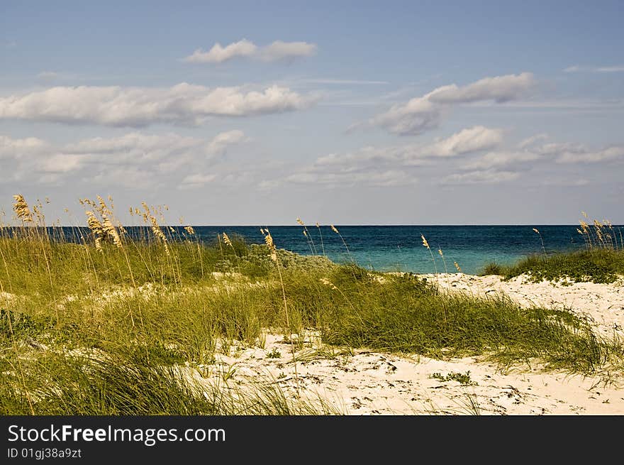 Beautiful beach with foreground