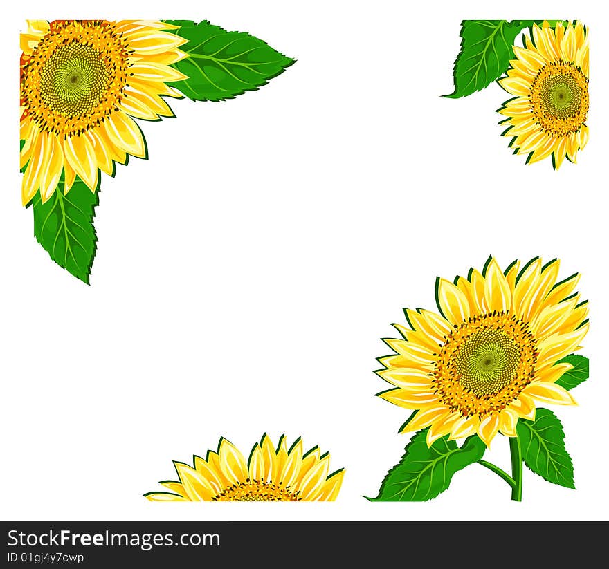 Vector illustration containing floral decoration, background for card. Vector illustration containing floral decoration, background for card