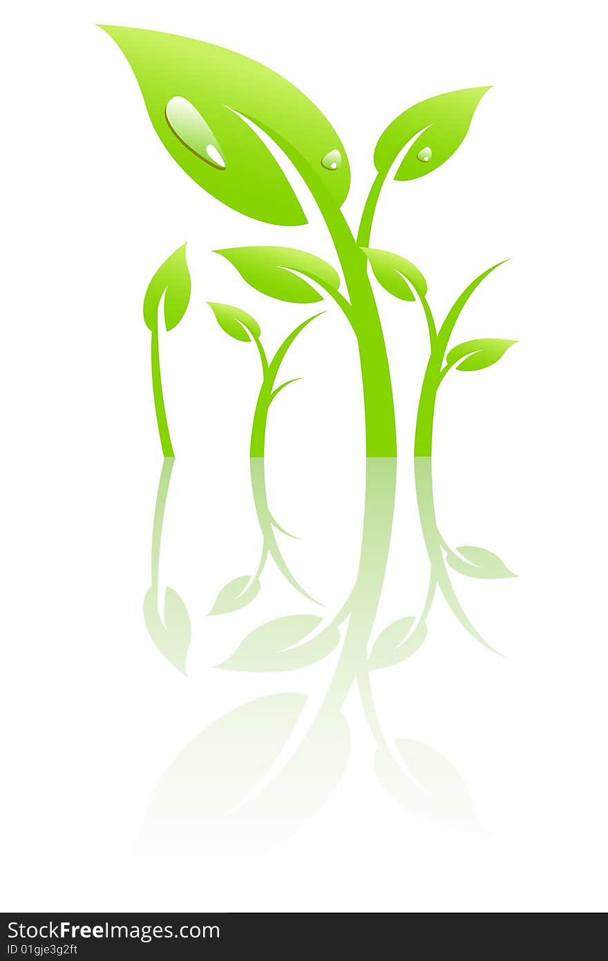 Plant with dew, vector illustration