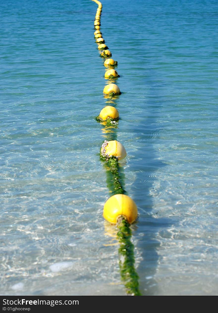 Yellow floats line