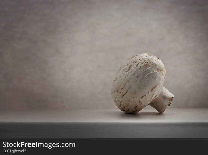 Straight shot of an isolated mushroom