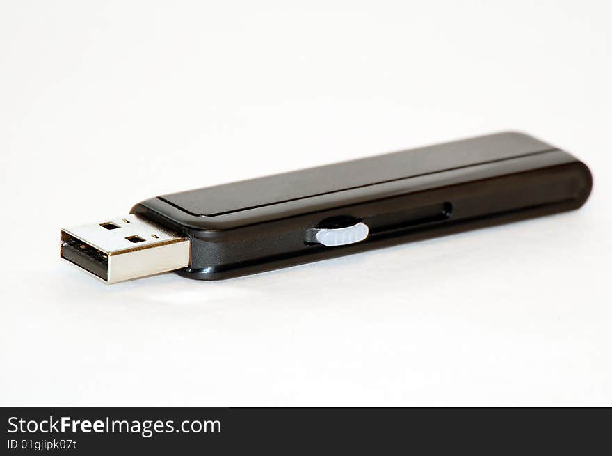 Portable flash memory