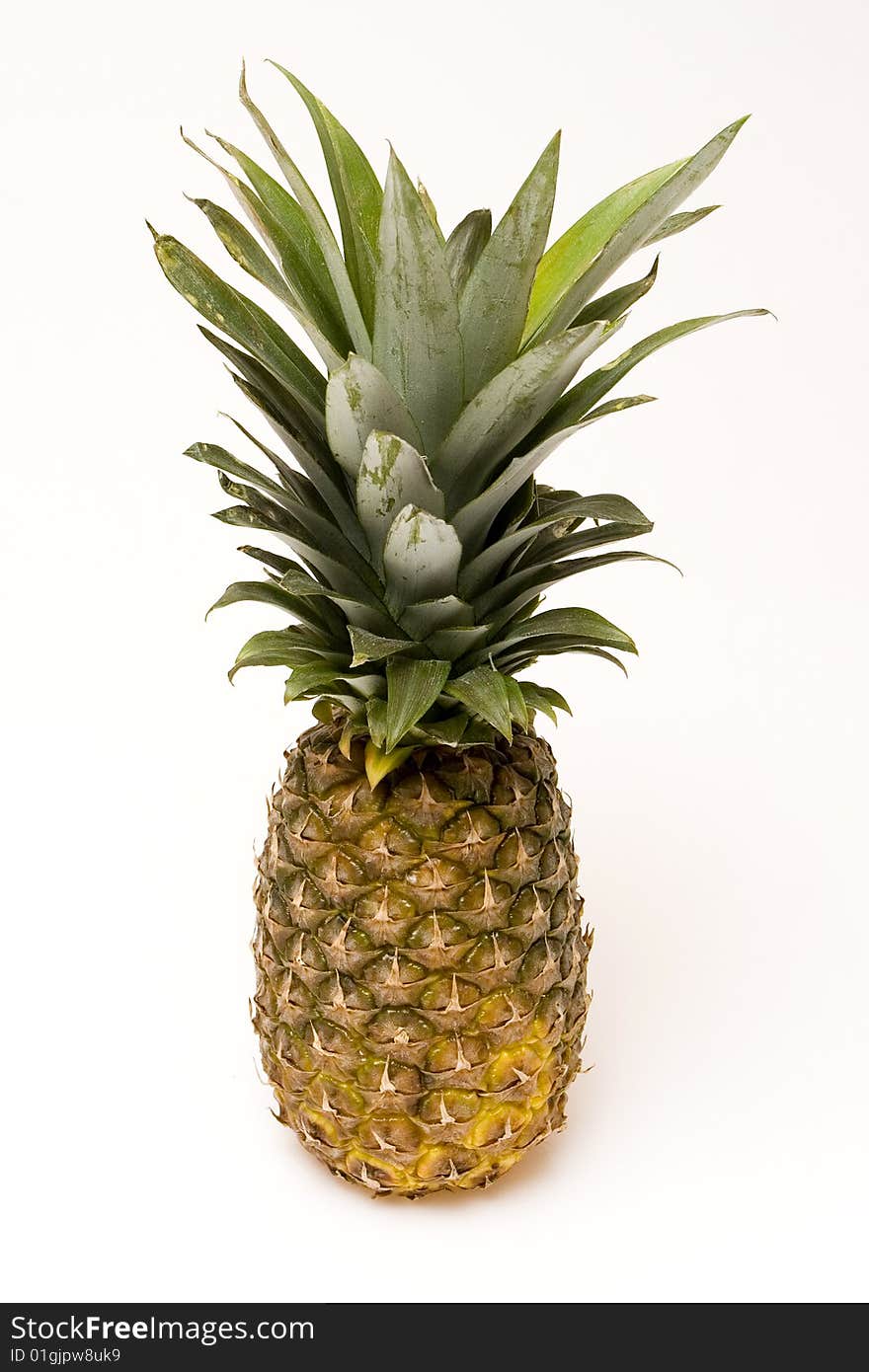 Pineapple