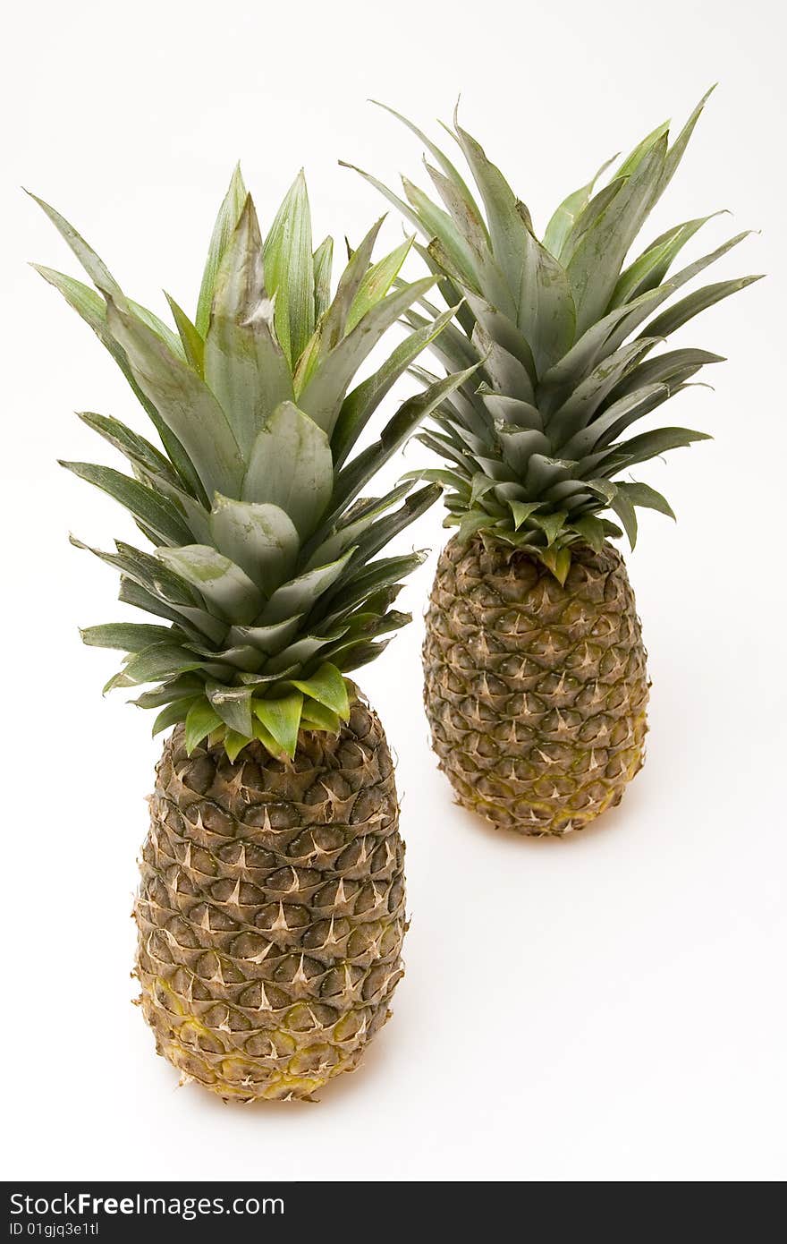 Big pineapples on white background