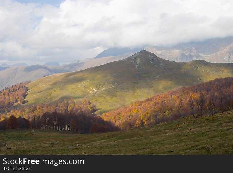 The Caucasus