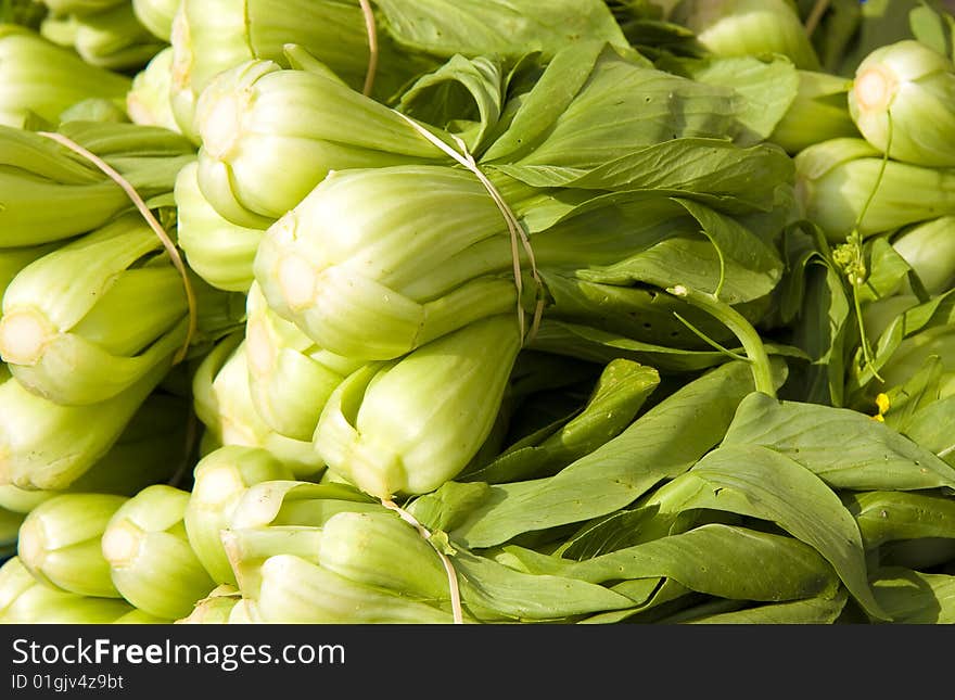 Fresh baby bok choy bunches in a vegetable market. Fresh baby bok choy bunches in a vegetable market