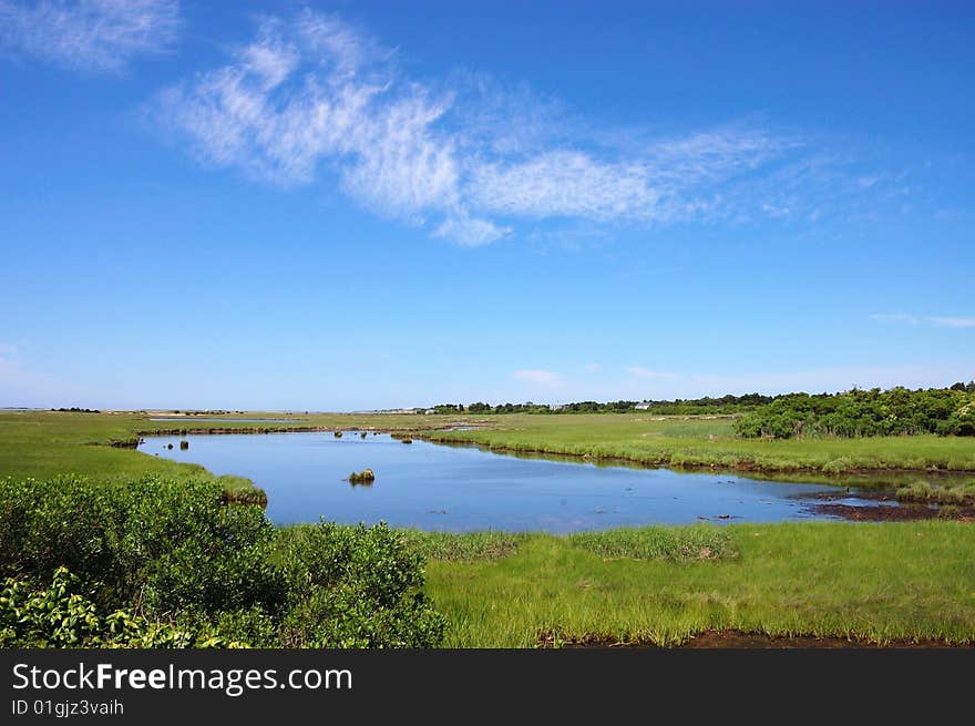 Pond in the countryside