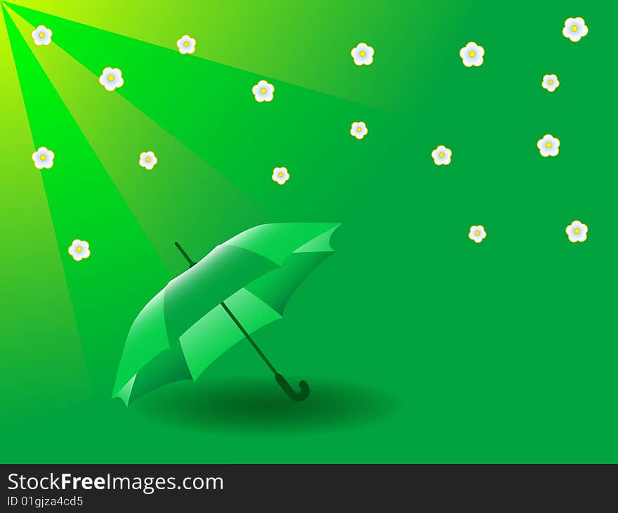 Green Umbrella