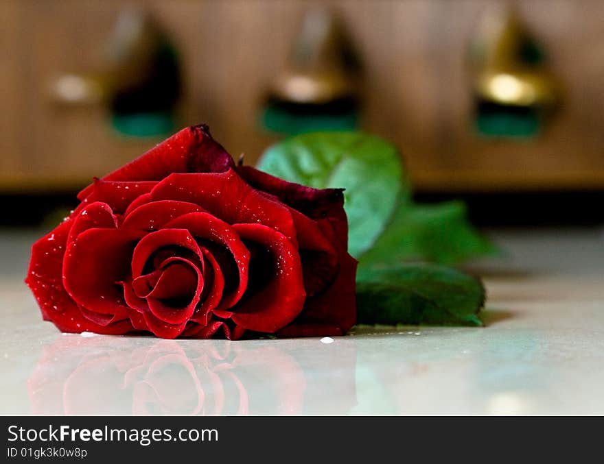 Red rose in front of the piano pedals