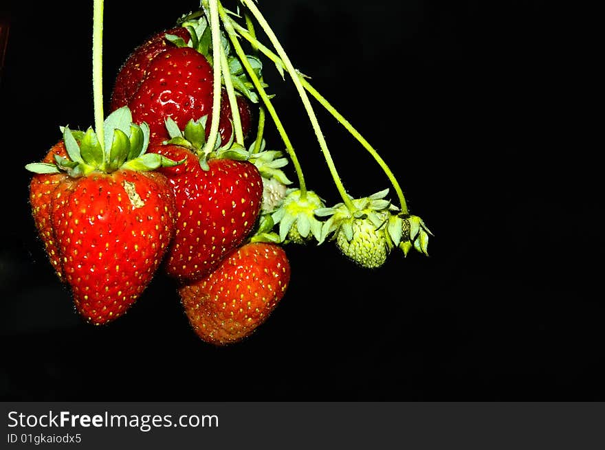 Strawberries