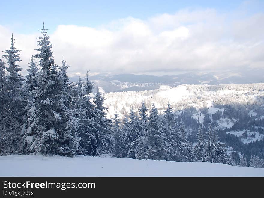 Carpathian Mountains in Snow