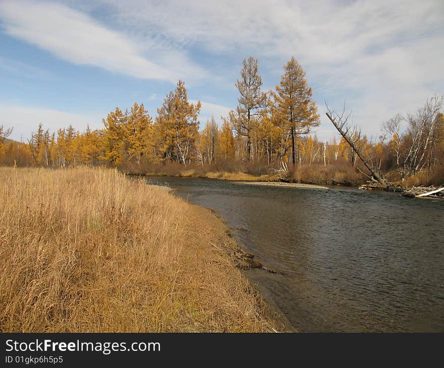 Autumn colors in landscape with blue sky in Mongolia. Autumn colors in landscape with blue sky in Mongolia