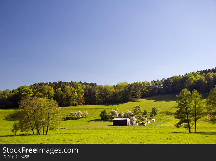 Summer Landscape with blue sky