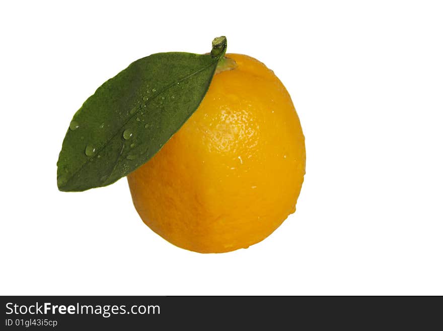 Single lemon with drops of water on white background