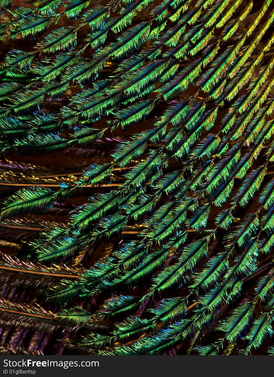 Closeup of glamorous green and purple feather used to decorate a carnival mask. Closeup of glamorous green and purple feather used to decorate a carnival mask