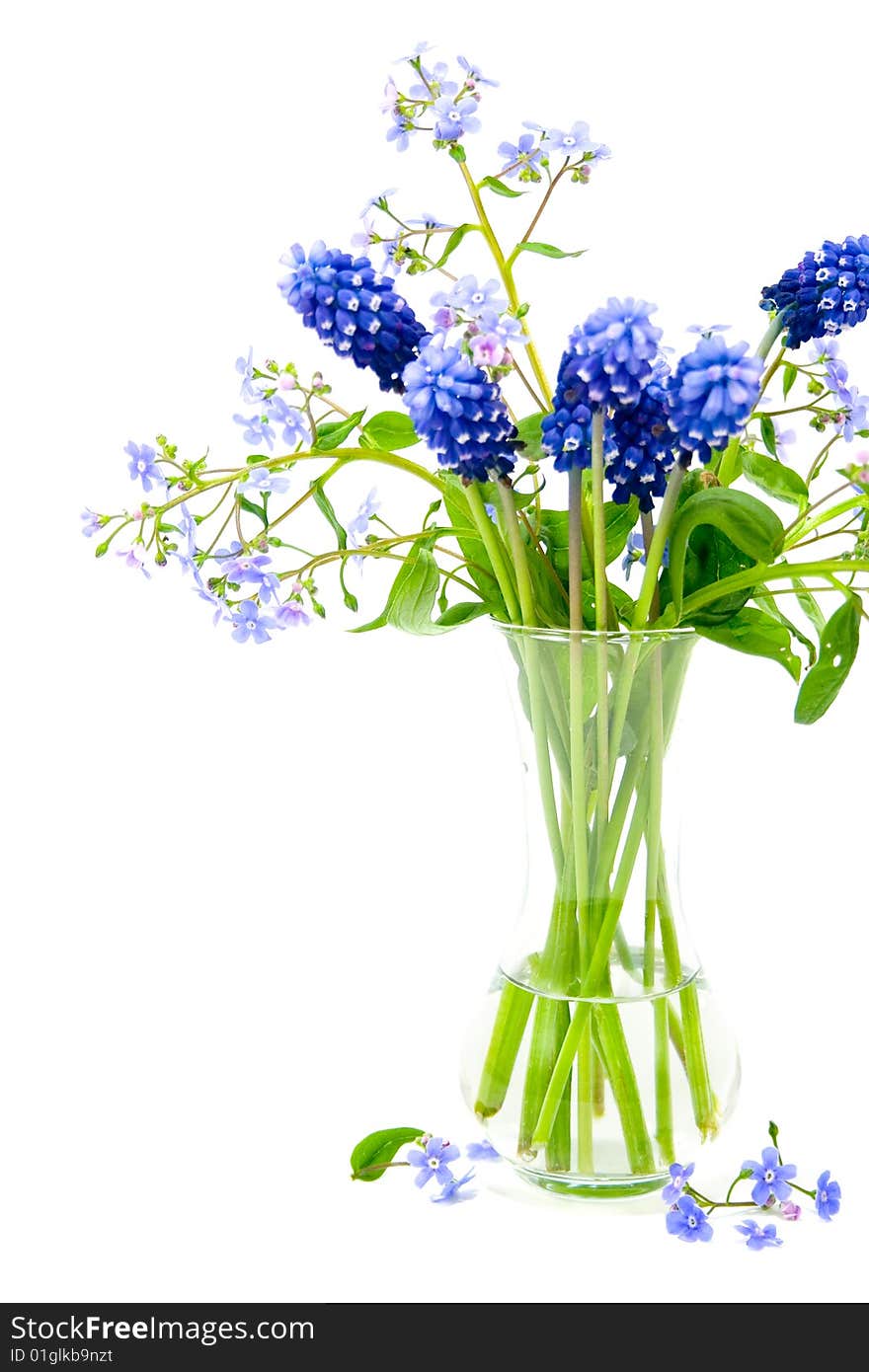 Bouquet of spring flowers on a white background