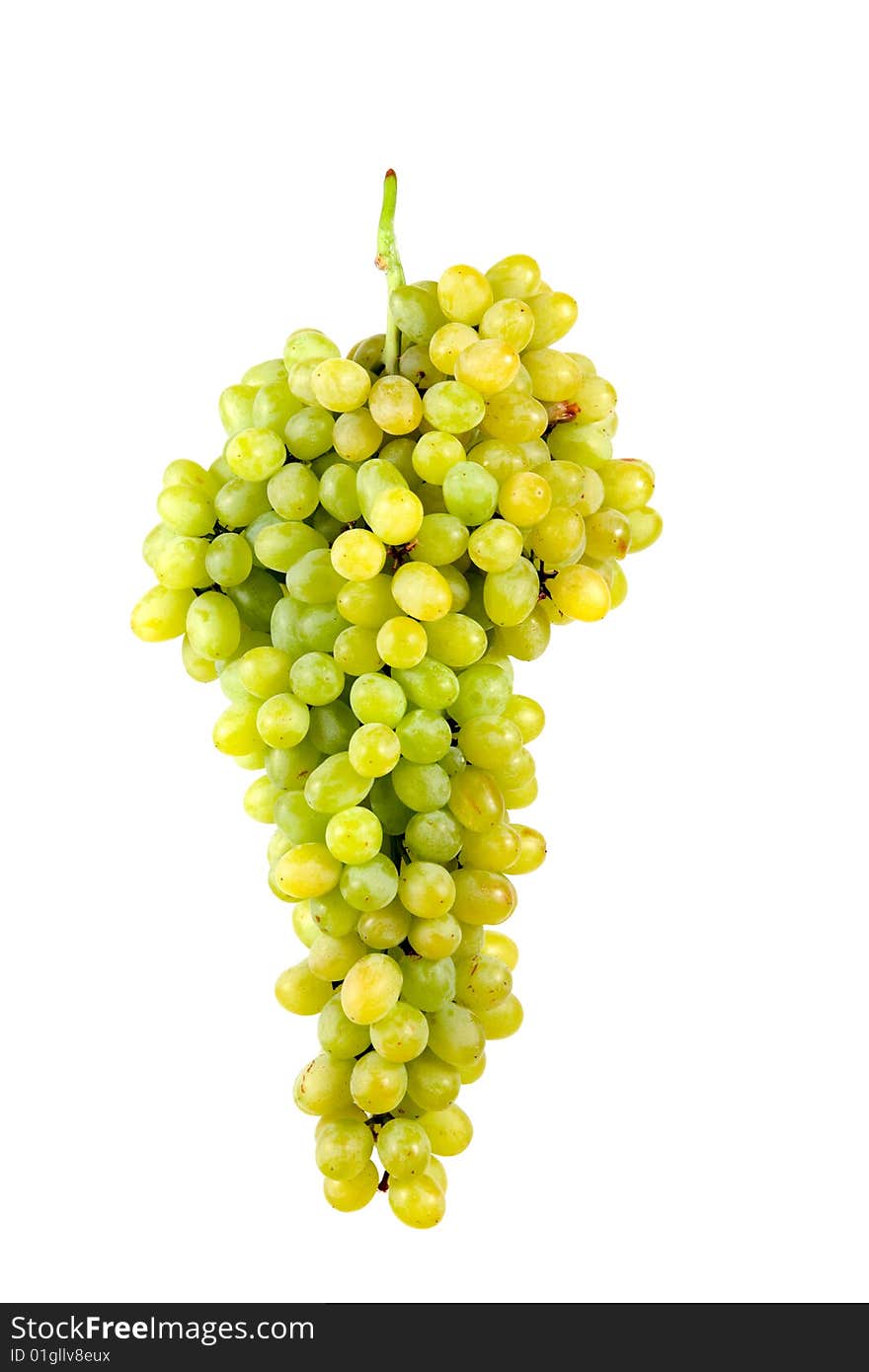 Fresh grapes