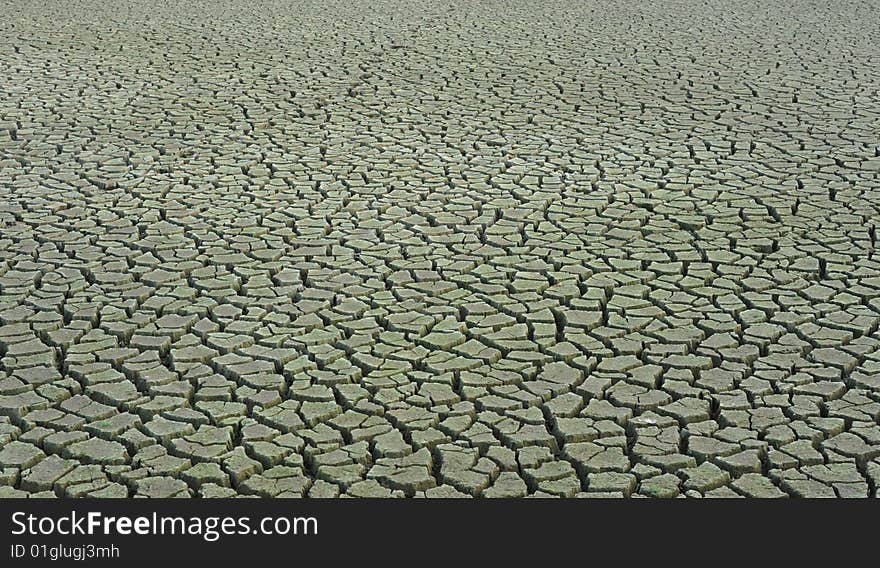 A background of dry, cracked earth. A background of dry, cracked earth.