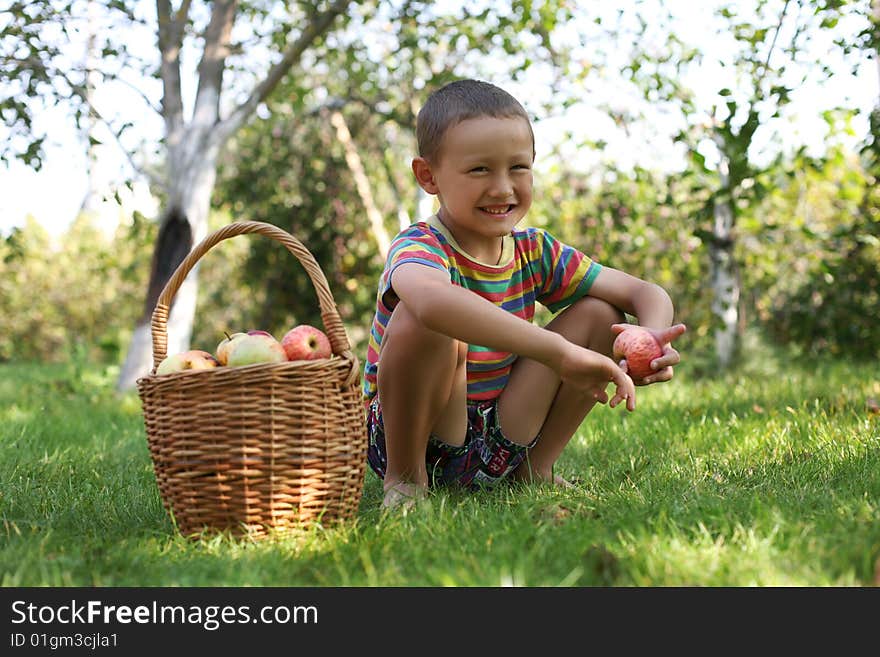 Boy With Apples