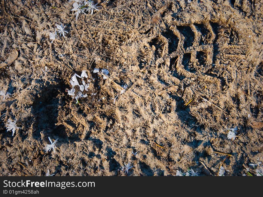 Boot footprint in a frozen earth