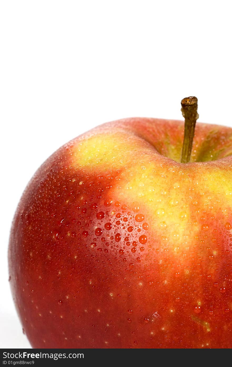 Close-up of wet red apple on a white background