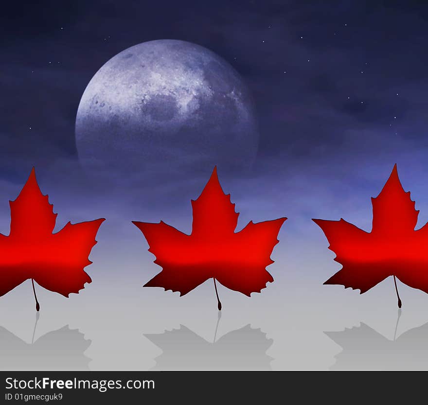 The Flag of Canada with maple leaves