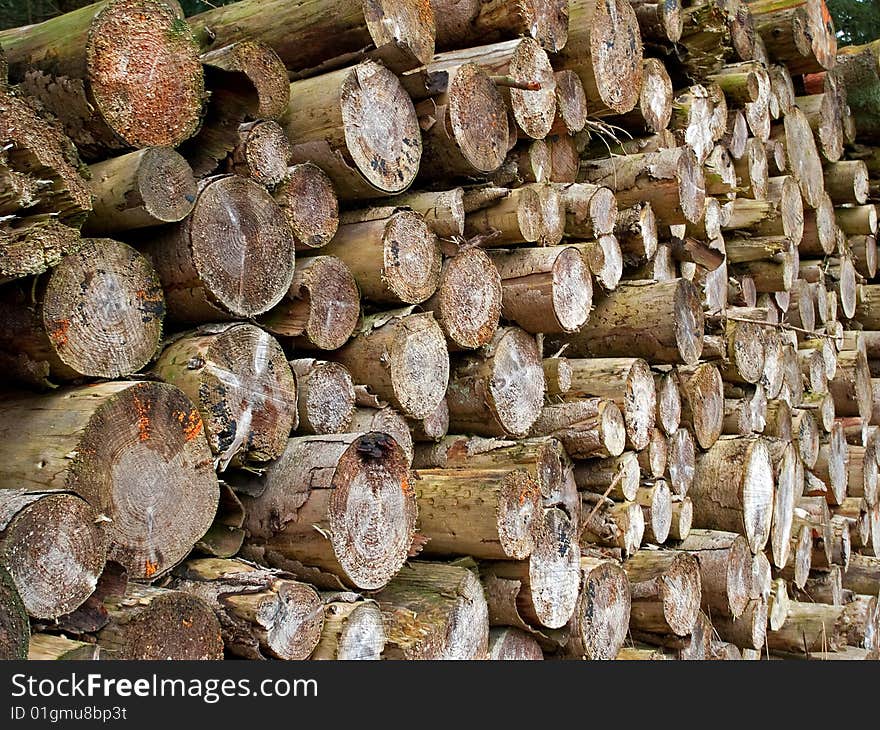 Pile of heavy wood logs stacked outdoors