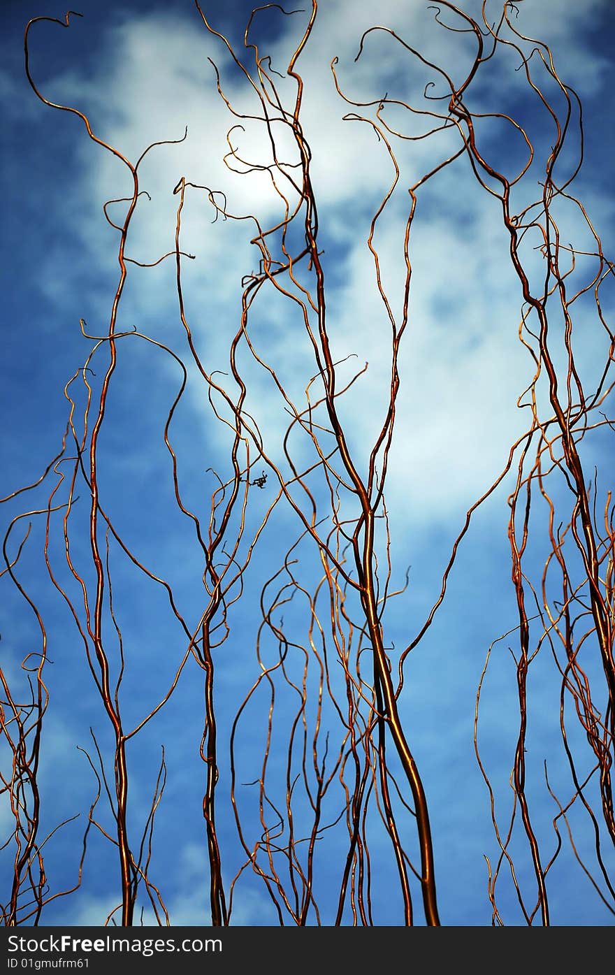 Nature wall made from young twig