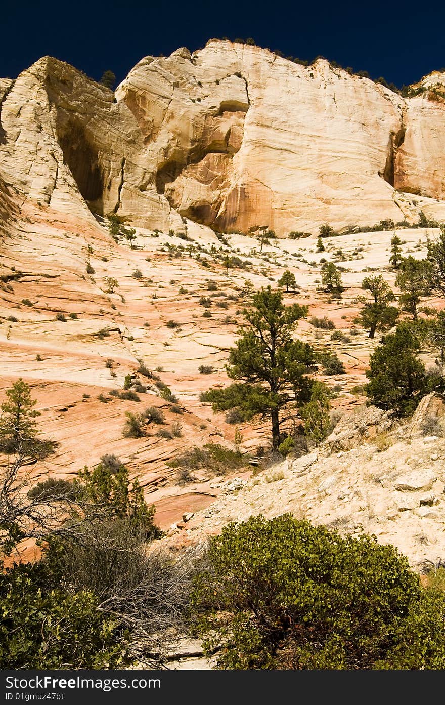 View of sandstone landscape in Zion National Park. View of sandstone landscape in Zion National Park