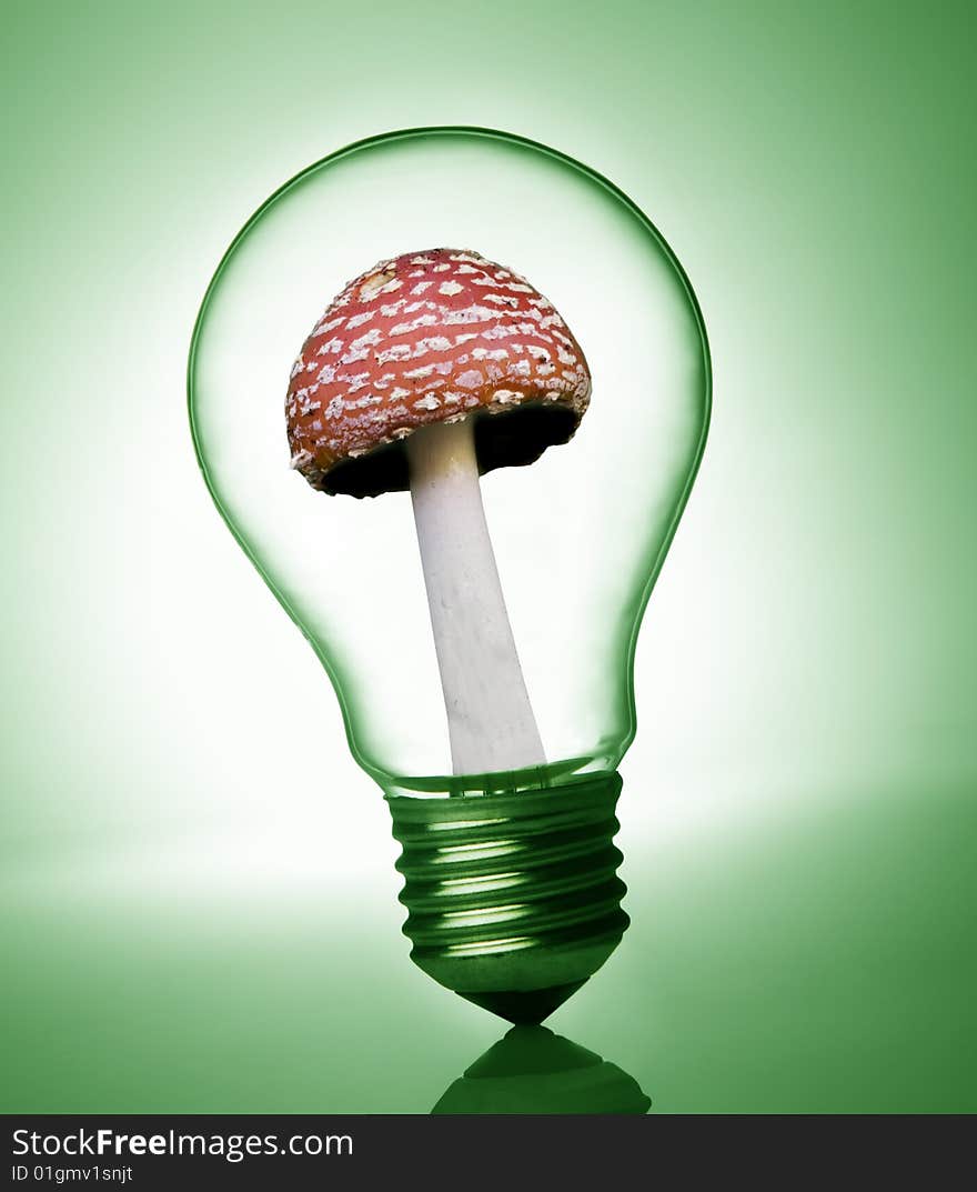 Mushroom in a light bulb