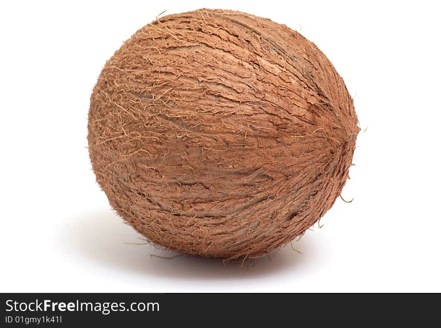 One nice coconut isolated on a white background. One nice coconut isolated on a white background.