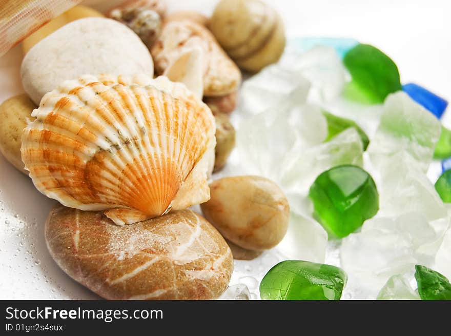 Assorted sea shells and stones over white. Assorted sea shells and stones over white