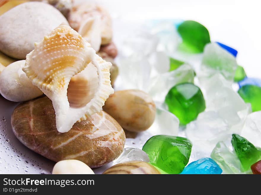 Assorted sea shells and stones over white. Assorted sea shells and stones over white