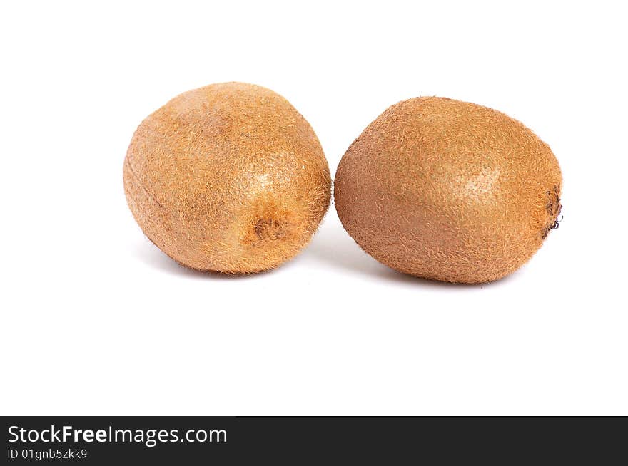 Two  shaggy kiwis on white background.