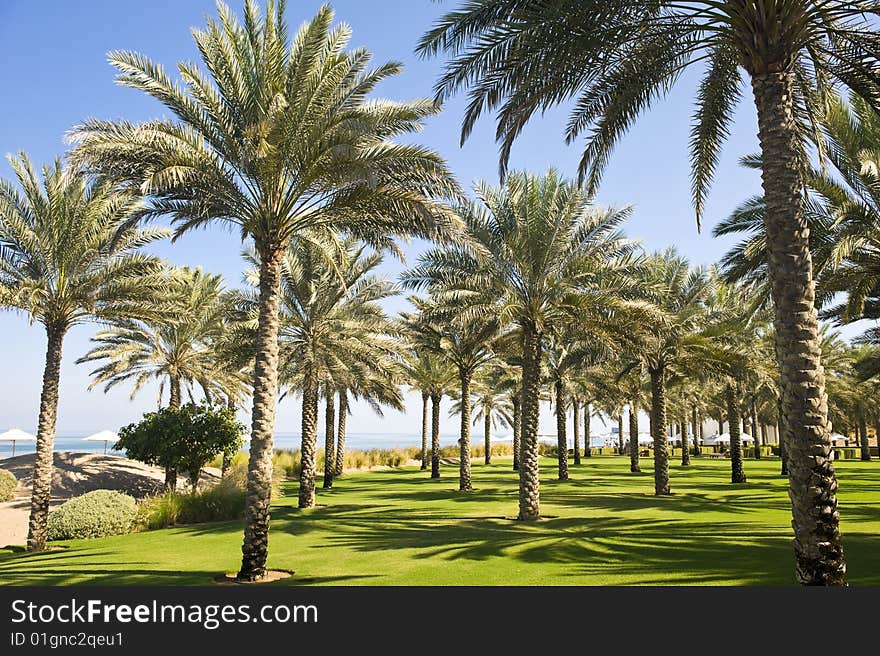 Beautiful garden next to the beach