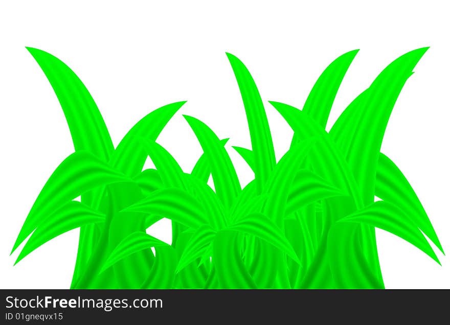 Leaves on white background, vector illustration