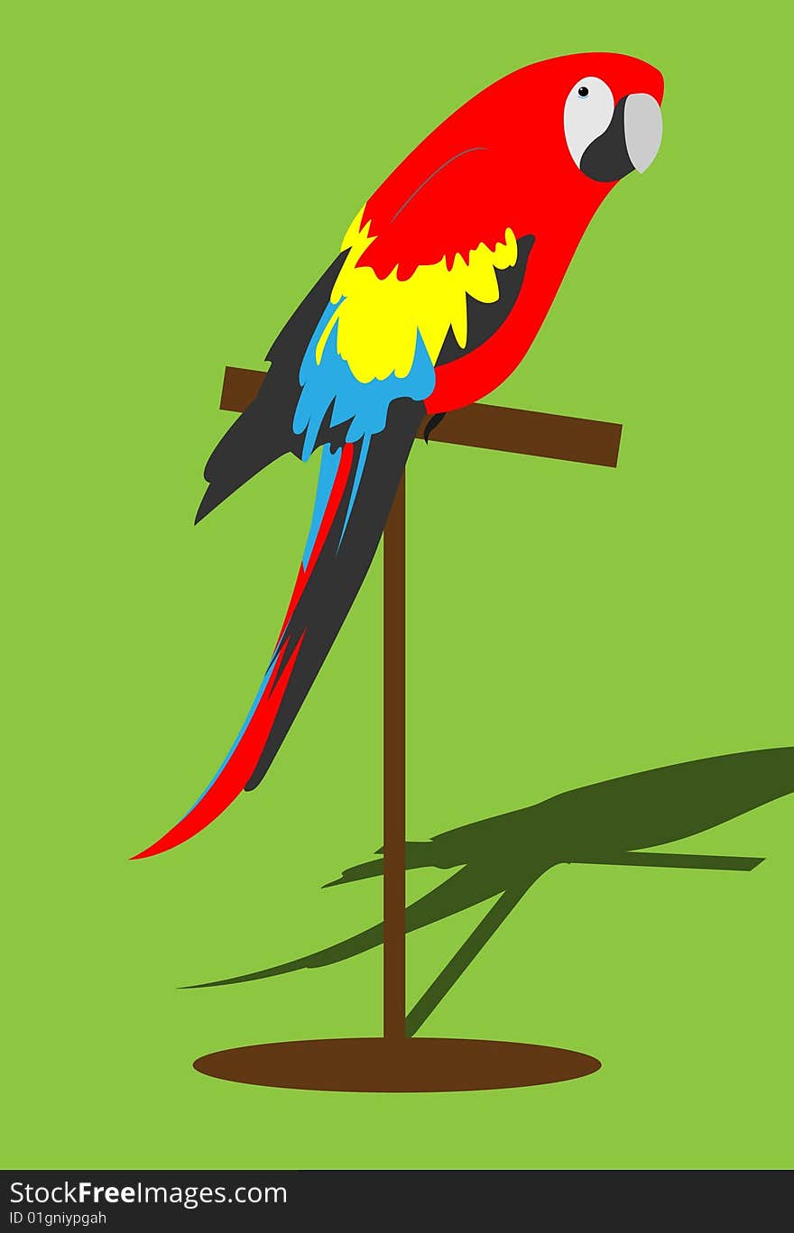 Parrot illustration. Vector. Without mesh.