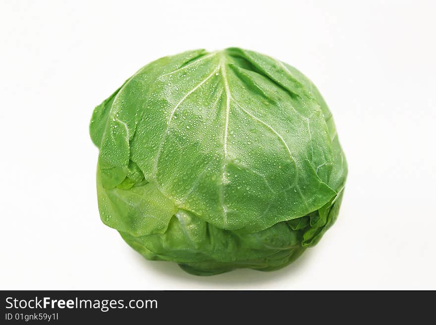 Green cabbage with waterdrops on it on white background