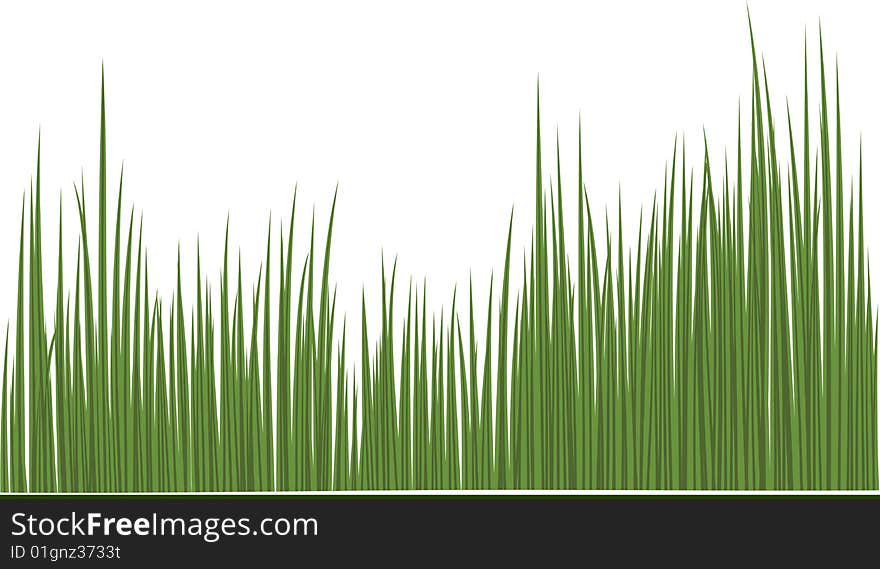 Green grass artistic vector illustration. Green grass artistic vector illustration