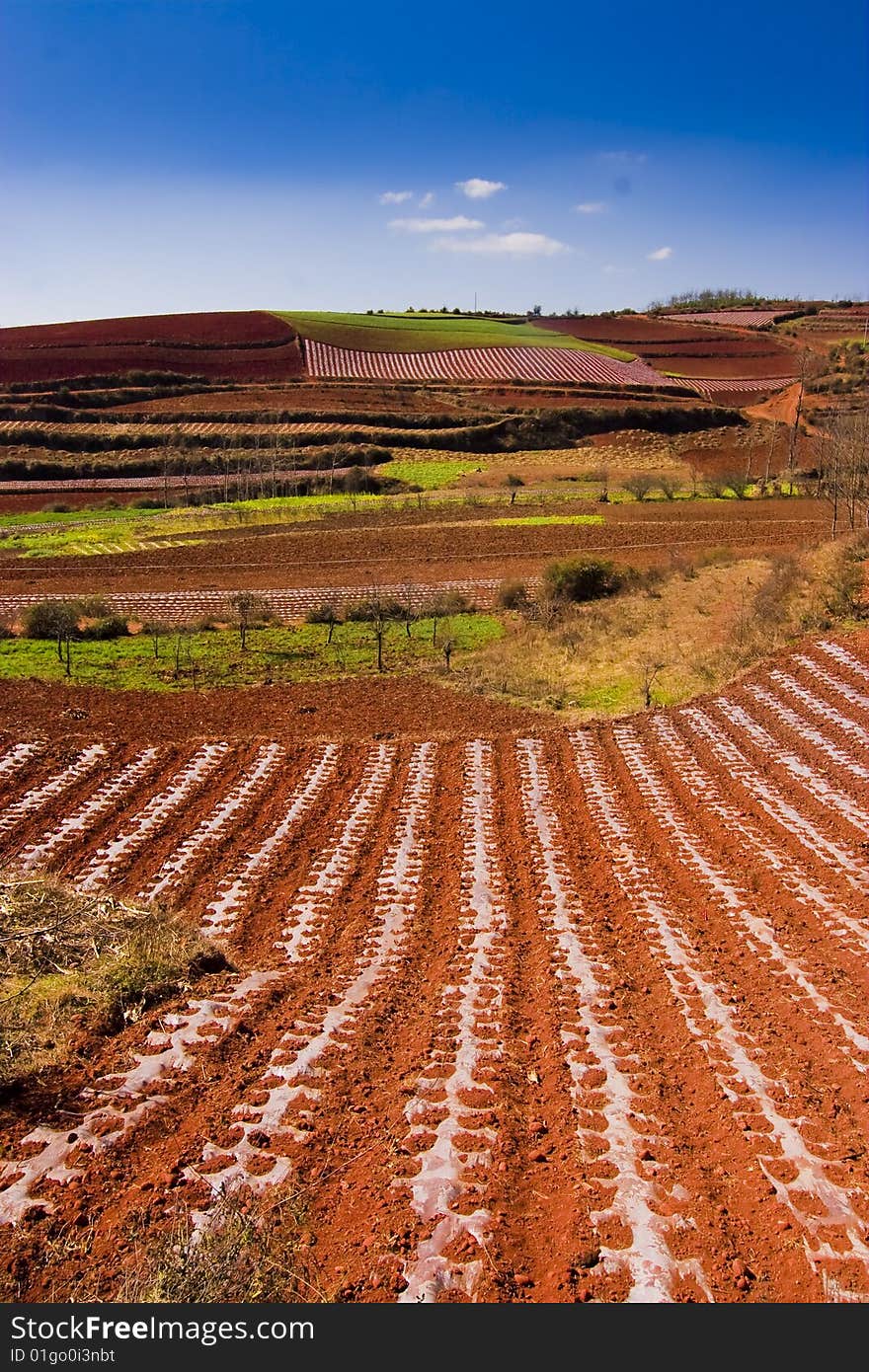 The land in red very of beauty, Dong Chuan in Yunnan county. The land in red very of beauty, Dong Chuan in Yunnan county