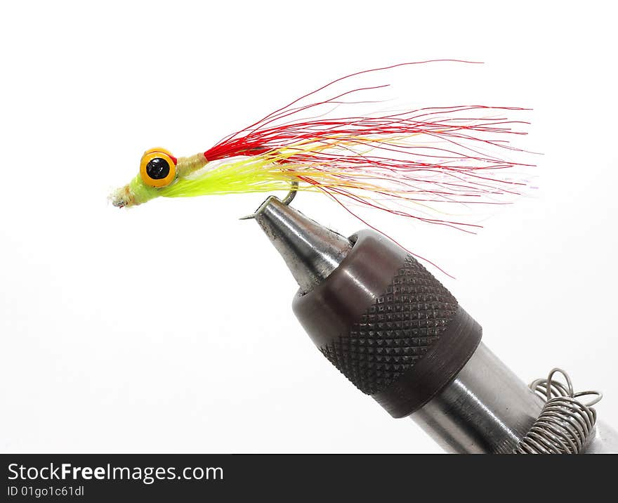 Close up image of fly for fishing in holder. Close up image of fly for fishing in holder