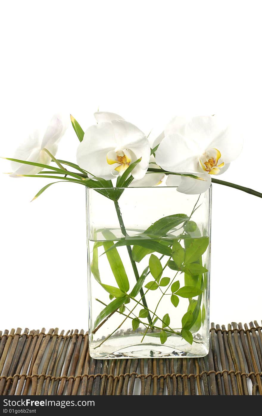 Beautiful orchid with green leaf in vase on mat