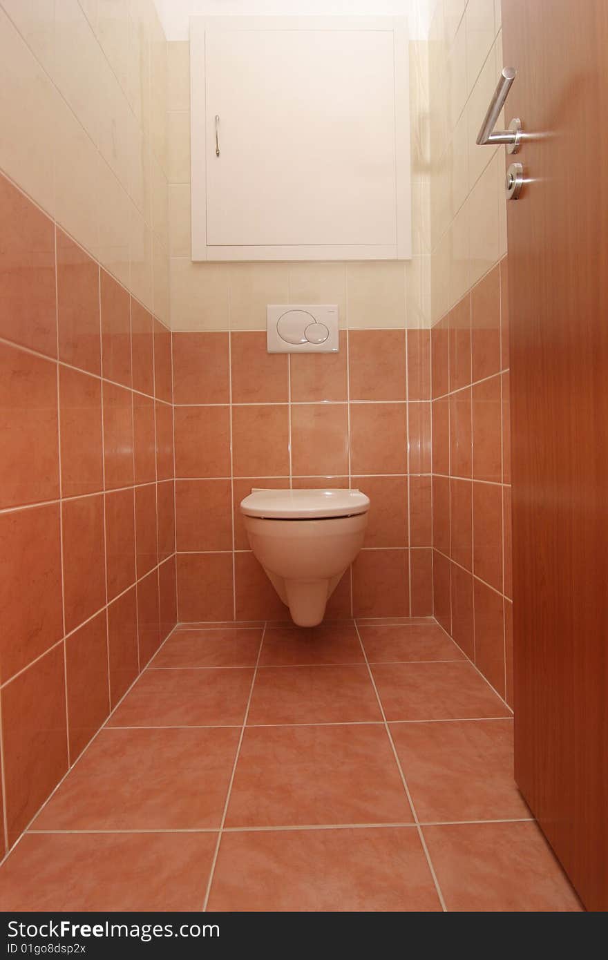 Toilet in home interier. Brown tolilet