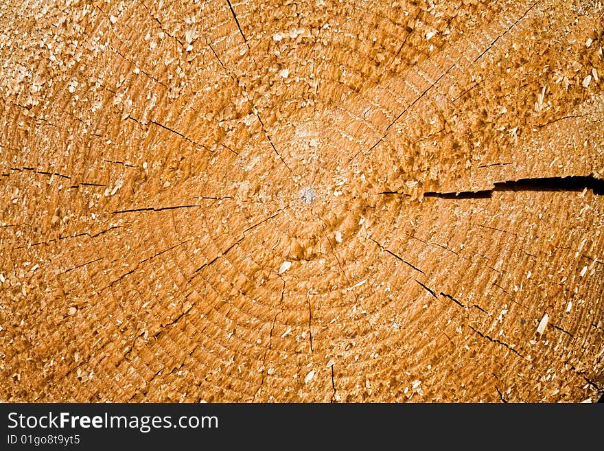 Stock photo: an image of a background of a stump