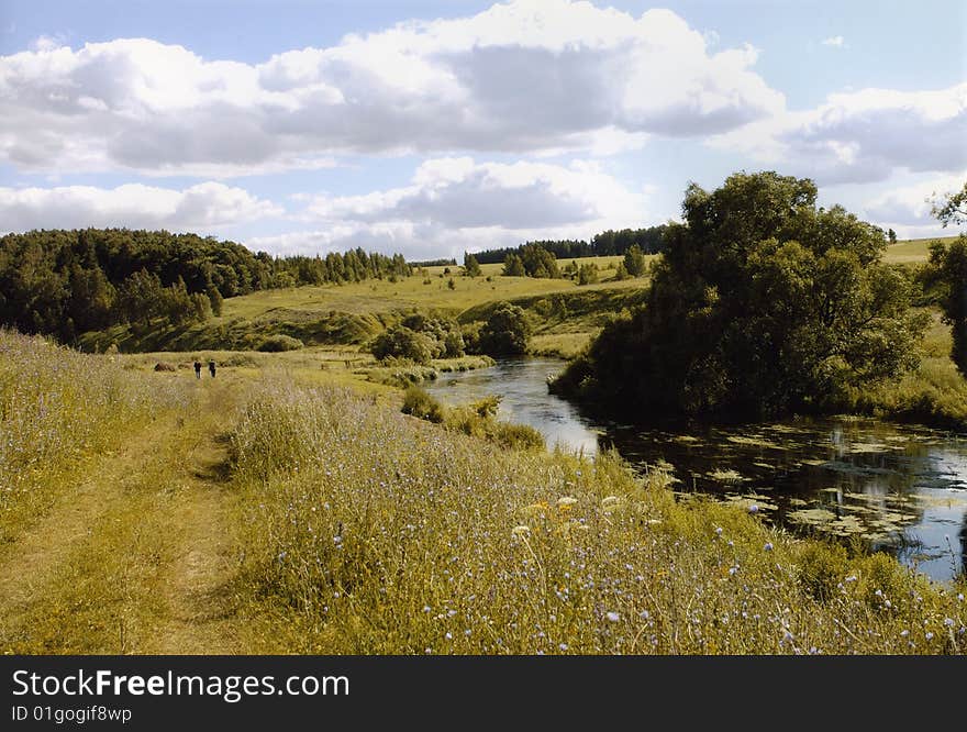 Village road among forest meadow sunny day at the river